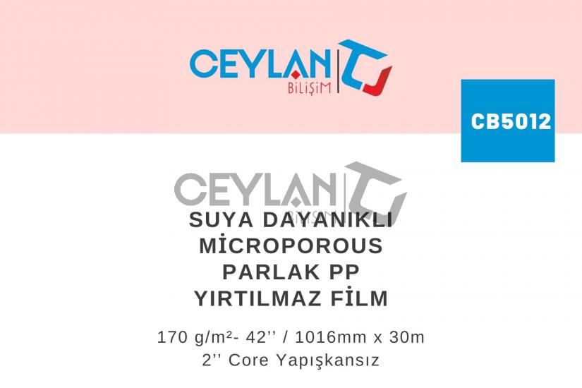 Professionel Suya Dayanıklı Microporous Parlak PP Yırtılmaz Film 170 g/m²- 42’’ / 1016mm x 30m 2’’  Core Yapışkansız