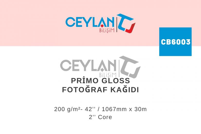 Primo Gloss Fotoğraf Kağıdı 200 g/m²- 42’’ / 1067mm x 30m 2’’ Core